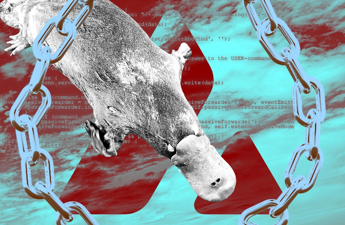 How third hack of the year walloped Platypus Finance investors for $1.6m