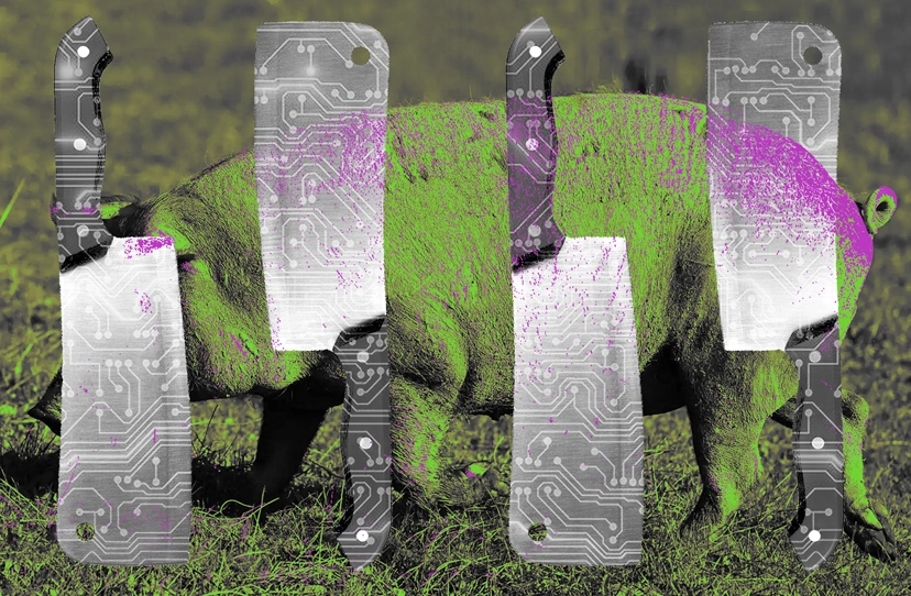 Crypto fraudsters sell ‘pig butchering kits’ on dark web as scams accelerate