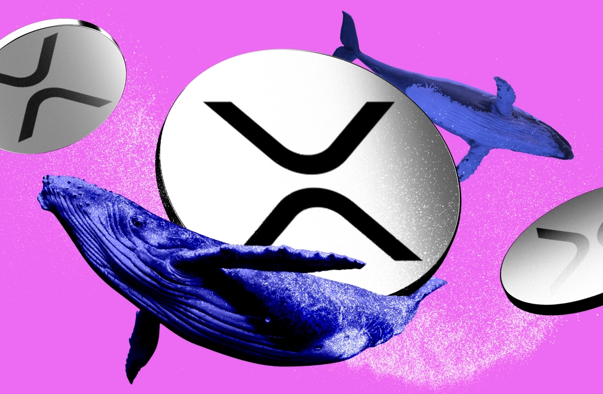 XRP whales pile in $464m as price record hopes soar
