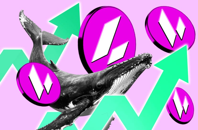 Lighter token bounces 37% as protocol begins buybacks and whales buy in