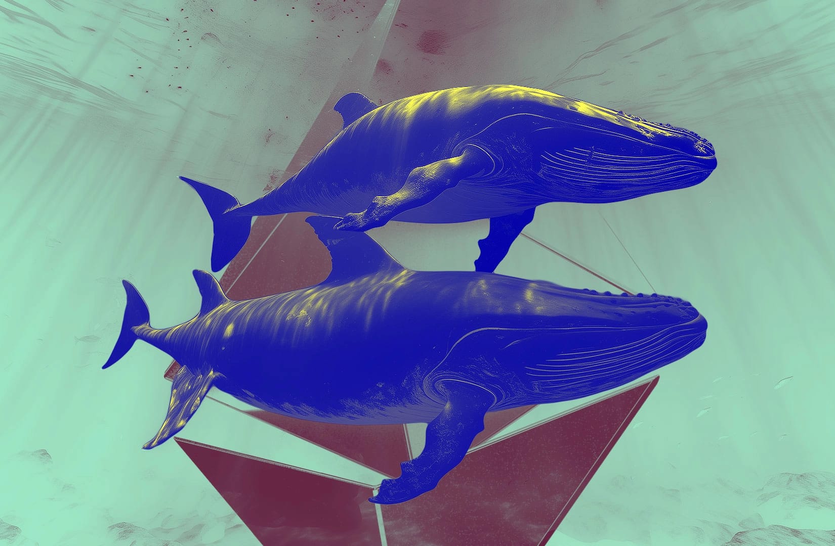 Ethereum Whales