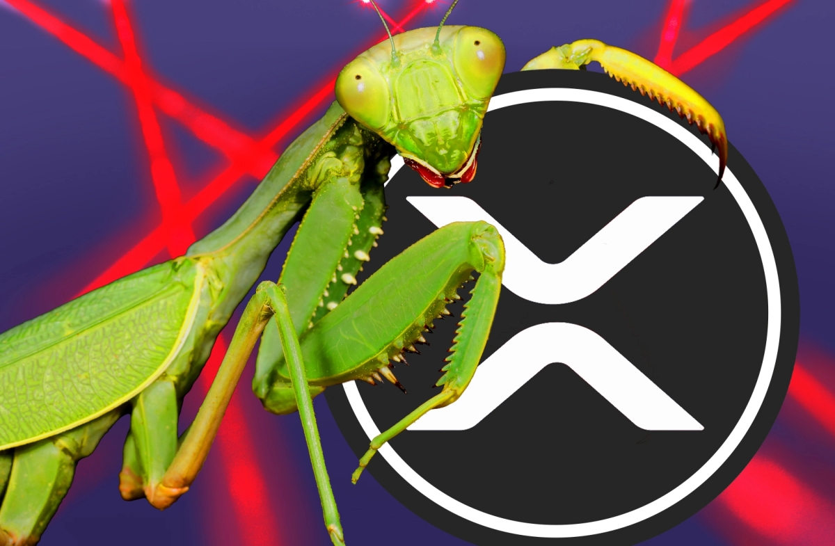 Ripple offers $200,000 to those who find bugs in coming XRP Ledger lending protocol