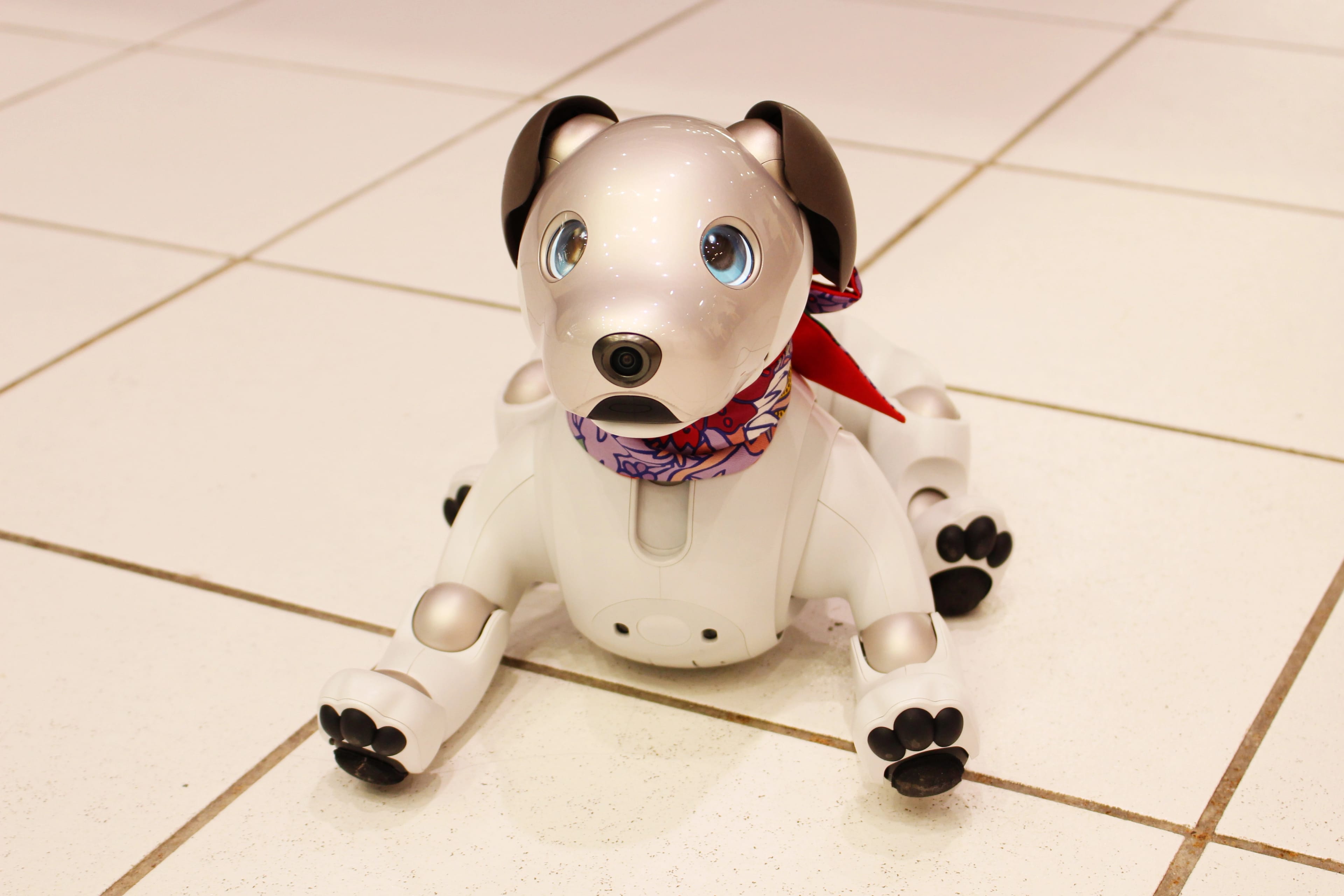 Tokyo,,Japan,-,December,22,,2018:,A,Sony,Aibo,Robot