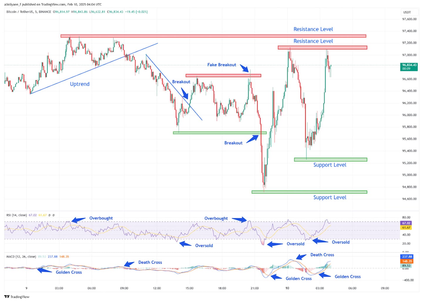 Bitcoin Price Analysis February 10.