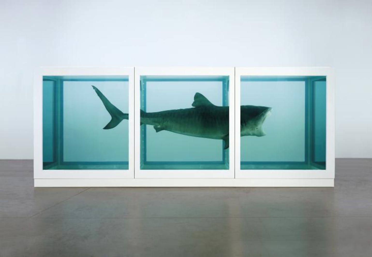 Damien Hirst The physical impossibility of death in the mind of someone living